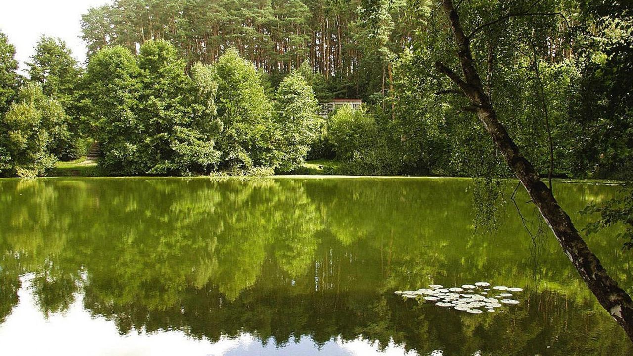 AreaSummer5KM AreaSummer5KM